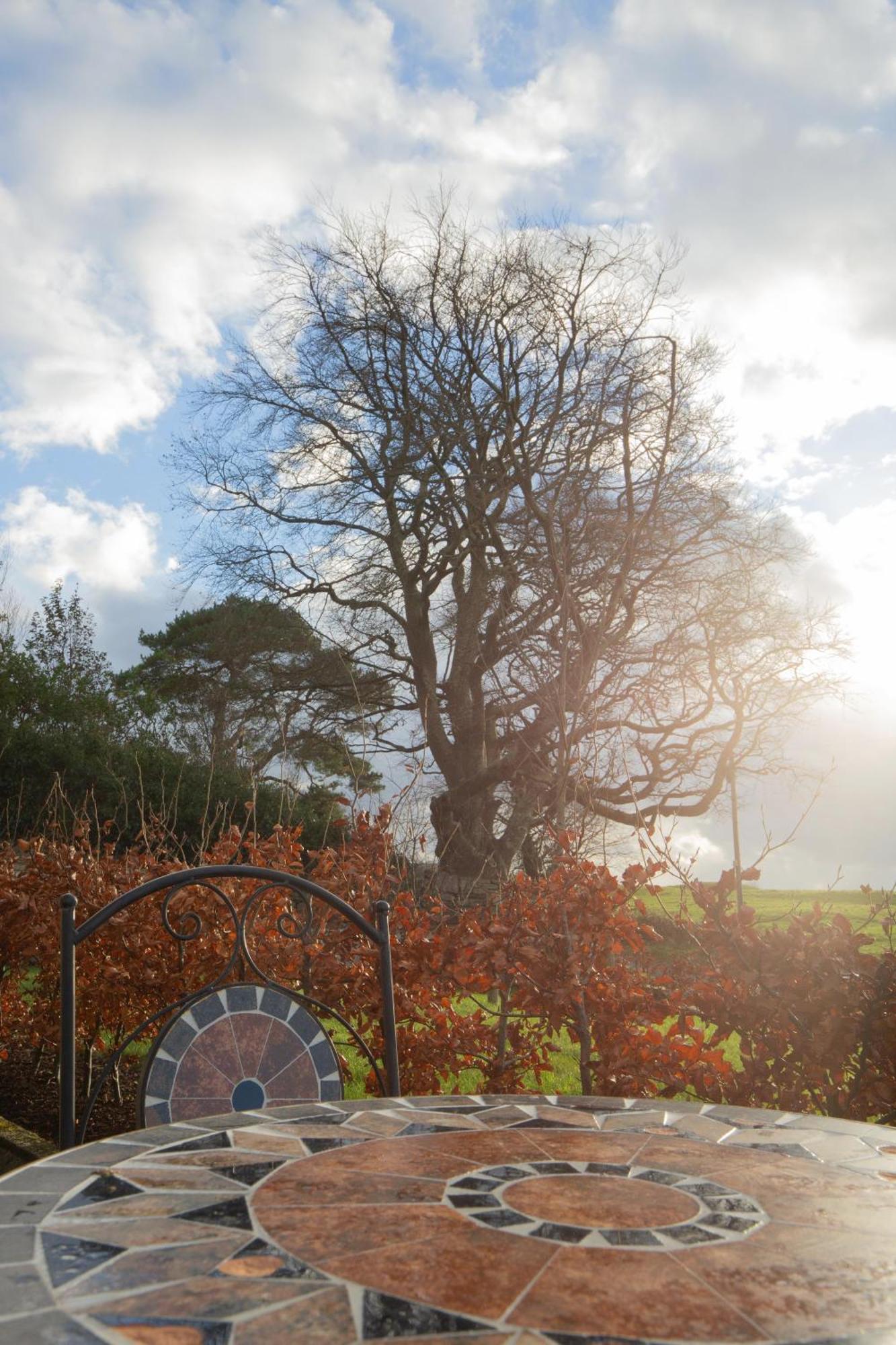 The Stone Cottage Castlebar Εξωτερικό φωτογραφία